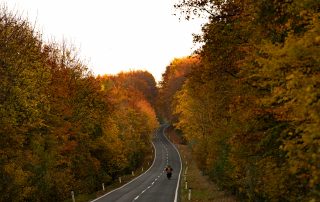 Ein Motorrad fährt durch einen herbstlichen Wald.