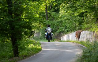 Ein Motorradfahrer fährt durch den Wald.