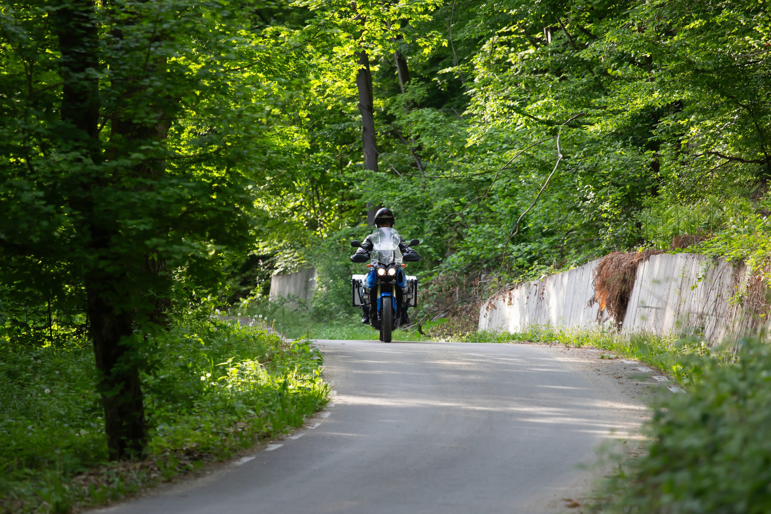 Ein Motorradfahrer fährt durch den Wald.